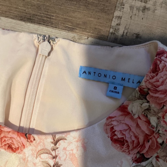 NWT Antonio Melani size 8 pink beige green sleeveless belted dress. - Picture 6 of 9